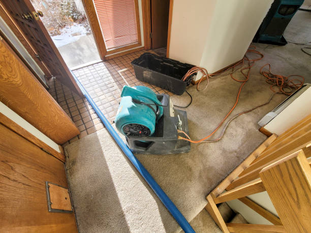 Best Flood damage cleanup  in Manhattan, NY