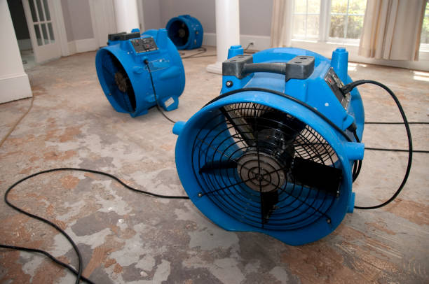 Best Flooded house restoration  in Manhattan, NY