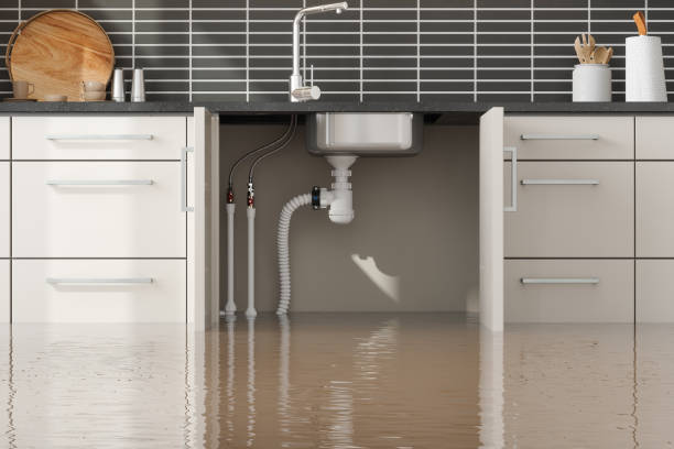 Best Basement water damage restoration  in Manhattan, NY